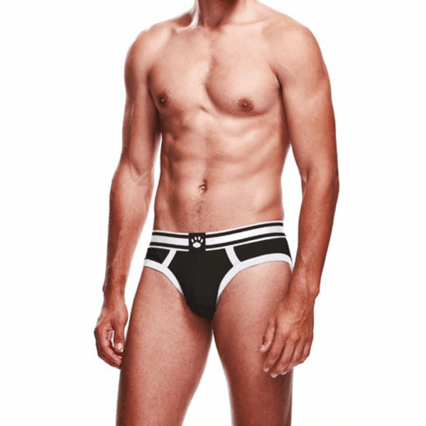 BriefBasicMens Underwear/